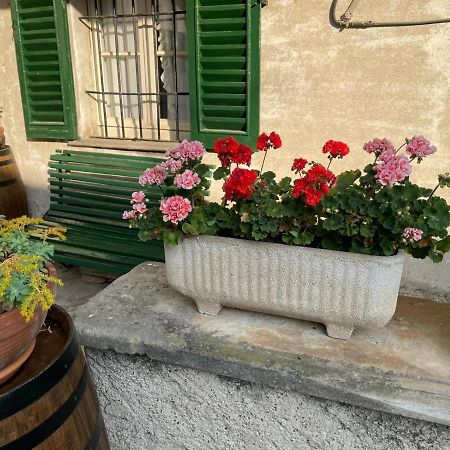 The Montevecchia Home - Frida Apartment المظهر الخارجي الصورة