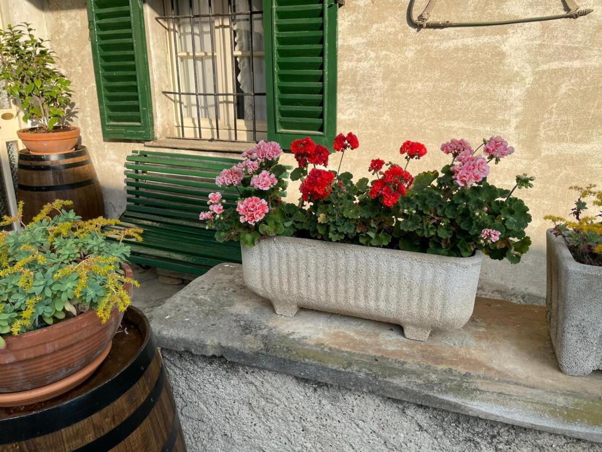 The Montevecchia Home - Frida Apartment المظهر الخارجي الصورة